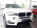 BMW X5 Cũ 2017 - Xe Cũ BMW X5 2017 2017