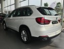 BMW X5 2017 - Bán xe BMW X5 đời 2017, nhập khẩu nguyên chiếc từ Đức, chính sách bán hàng cực ưu đãi. LH: 0987473533