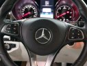 Mercedes-Benz V-Class  V220D  2.0 AT  2017 - Cần bán xe Mercedes V220D  2.0 AT 2017, màu đen, nhập khẩu