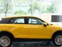 Audi Q2 2017 - Cần bán Audi Q2 đời 2017, màu vàng, nhập khẩu nguyên chiếc