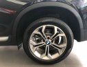 BMW X4  xDrive20i 2017 - Bán xe BMW X4 xDrive20i mới 100%, xe nhập khẩu chính hãng từ Đức, có xe giao ngay