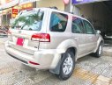 Ford Escape  XLT 2008 - Bán Ford Escape XLT năm 2008, màu bạc  