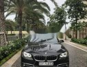 BMW 5 Series 520i 2016 - Bán xe BMW 520i đời 6/2016 chạy 16780km 