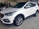 Hyundai Santa Fe   2018 - Bán xe Hyundai SantaFe 2018 màu trắng, giao ngay
