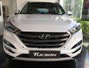 Hyundai Tucson 2018 - Bán Tucson 2018 Turbo 1.6 AT, gọi ngay để được giá tốt.