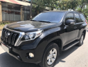 Toyota Prado 2014 - Bán Toyota Prado đời 2015, màu đen, nhập khẩu