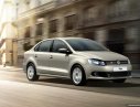 Volkswagen Polo 2017 - Bán Volkswagen Polo đời 2017, màu nâu, xe nhập, 699 triệu