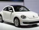 Volkswagen Beetle 2017 - Cần bán Volkswagen Beetle sản xuất 2017, màu trắng, xe nhập

