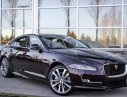 Jaguar XJL Portfolio 2016 - Jaguar XJL Portfolio - dòng xe đỉnh cao tại VN 