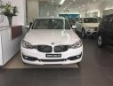 BMW 1 Mới  3 320i LCI 207 2017 - Xe Mới BMW 3 320i LCI 2017