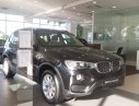 BMW X3 Mới   XDrive20i 2018 - Xe Mới BMW X3 XDrive20i 2018