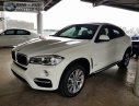 BMW X6 Mới   XDrive30i 3.0 Twin Power (Chỉ Cần Trả Trước 747 Triệu) 2018 - Xe Mới BMW X6 XDrive30i 3.0 Twin Power (Chỉ Cần Trả Trước 747 Triệu) 2018