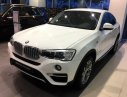 BMW X4 Mới   XDrive20i 2017 - Xe Mới BMW X4 XDrive20i 2017