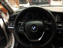 BMW X4 Mới   XDrive20i 2017 - Xe Mới BMW X4 XDrive20i 2017