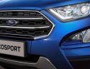 Ford EcoSport 1.0L AT Titanium 2018 - Bán xe Ford Ecosport 1.0 Ecoboost 2018 giá rẻ