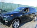 LandRover Discovery Sport 2017 - Bán ô tô LandRover Discovery SPORT 2018, màu xanh lục độc đáo