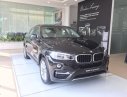 BMW X6 Mới   XDrive30i 2018 - Xe Mới BMW X6 XDrive30i 2018