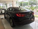 BMW X6 Mới   XDrive30i 2018 - Xe Mới BMW X6 XDrive30i 2018