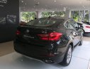 BMW X6 Mới   XDrive30i 2018 - Xe Mới BMW X6 XDrive30i 2018