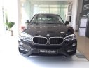 BMW X6 Mới   XDrive30i 2018 - Xe Mới BMW X6 XDrive30i 2018