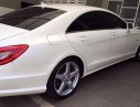 Mercedes-Benz CLS Cũ Mercedes-Benz  350 AMG 2014 - Xe Cũ Mercedes-Benz CLS 350 AMG 2014