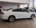 Volkswagen Passat Bluemotion 2017 - Bán xe Volkswagen Passat Bluemotion đời 2017, màu trắng, nhập khẩu nguyên chiếc. LH 0901 933 522 (Vy)