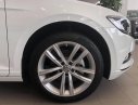 Volkswagen Passat Bluemotion 2017 - Bán xe Volkswagen Passat Bluemotion đời 2017, màu trắng, nhập khẩu nguyên chiếc. LH 0901 933 522 (Vy)