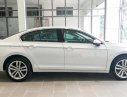 Volkswagen Passat Bluemotion 2017 - Bán xe Volkswagen Passat Bluemotion đời 2017, màu trắng, nhập khẩu nguyên chiếc. LH 0901 933 522 (Vy)