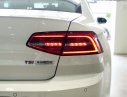 Volkswagen Passat Bluemotion 2017 - Bán xe Volkswagen Passat Bluemotion đời 2017, màu trắng, nhập khẩu nguyên chiếc. LH 0901 933 522 (Vy)