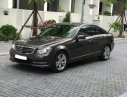 Mercedes-Benz C class 250 2014 - Bán ô tô Mercedes 250 đời 2015, màu nâu số tự động