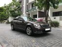 Mercedes-Benz C class 250 2014 - Bán ô tô Mercedes 250 đời 2015, màu nâu số tự động