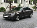 Mercedes-Benz C class C250 2014 - Bán xe Mercedes C250 đời 2014, màu nâu