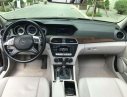 Mercedes-Benz C class C250 2014 - Bán xe Mercedes C250 đời 2014, màu nâu