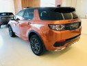 LandRover Discovery 2018 - Bán LandRover Discovery Sport _ 5+2 Seats