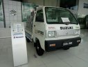 Suzuki Blind Van 2019 - Suzuki Blind Van 2020, giá chỉ 270 triệu, LH 0985.547.829