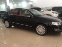 Volkswagen Passat 1.8L 2010 - Bán Volkswagen Passat 1.8L đăng ký 2010 nhập Đức