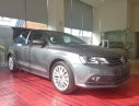 Volkswagen Jetta   2017 - Cần bán Volkswagen Jetta, màu xám, nhập Đức, hỗ trợ thuế trước bạ, giá tốt nhất Việt Nam, LH 0901933522(Vy)