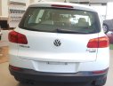 Volkswagen Tiguan 2016 - Volkswagen - Tiguan 2016 màu trắng nhập khẩu, chỉ 1tỷ 290tr, trả trước 258 triệu