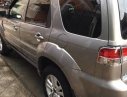 Ford Escape    XLS 2011 - Bán Ford Escape XLS năm 2011, màu xám