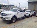 Ford Everest 2.0 biturbo 2019 - Lào Cai Ford, bán Ford Everest 2.0 biturbo 2019, nhập nguyên chiếc đủ màu giao ngay - LH 0974286009