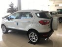 Ford EcoSport 1.5 Titanium 2018 - Ford Việt Nam, bán xe Ford EcoSport 1.5 Titanium 2018, giá tốt 0974286009