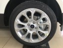 Ford EcoSport 1.5 Titanium 2018 - Ford Việt Nam, bán xe Ford EcoSport 1.5 Titanium 2018, giá tốt 0974286009