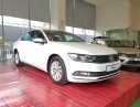 Volkswagen Passat S 2015 - Bán Passat S, xe nhập khẩu Đức, giá tốt nhất Việt Nam, LH: 0901933522 - Đừng mua xe khi chưa đọc tin này