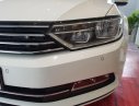 Volkswagen Passat S 2015 - Bán Passat S, xe nhập khẩu Đức, giá tốt nhất Việt Nam, LH: 0901933522 - Đừng mua xe khi chưa đọc tin này