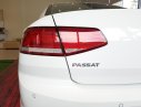 Volkswagen Passat S 2015 - Bán Passat S, xe nhập khẩu Đức, giá tốt nhất Việt Nam, LH: 0901933522 - Đừng mua xe khi chưa đọc tin này