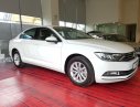 Volkswagen Passat S 2015 - Bán Passat S, xe nhập khẩu Đức, giá tốt nhất Việt Nam, LH: 0901933522 - Đừng mua xe khi chưa đọc tin này