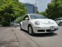 Volkswagen Beetle 2010 - Bán Volkswagen Beetle 2010 1.6AT 