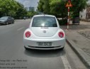 Volkswagen Beetle 2010 - Bán Volkswagen Beetle 2010 1.6AT 