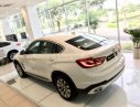 BMW X6 xDrive35i 2016 - Bán xe BMW X6 xDrive35i màu trắng nhập khẩu Đức, chỉ trả trước 650 triệu - 090.999.6626