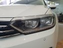 Volkswagen Passat 2017 - Volkswagen Passat, nhập Đức, giá sốc, ưu đãi khủng. LH ngay 0901933522
